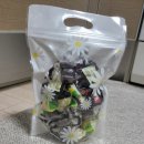 민* 외1인 이미지