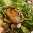 놀란돼지(성남점) 이미지