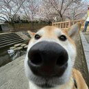 소중농장 이미지