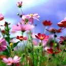 성남농장 이미지