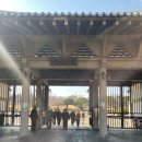 달성공원 | 대구 아이랑 가볼만한곳 봄나들이 소풍장소 달성공원 방문 후기