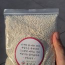 사랑의 염원 | 맑은 가을날의 염원, 조카의 수능 기도 명소 수원 봉녕사 방문기