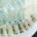 싱싱회 활어