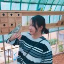 회동목장 이미지