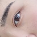 데일리아이래쉬 | 춘천 속눈썹 ) 데일리 아이래쉬 속눈썹연장 솔직후기