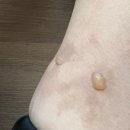 문외과의원 이미지