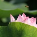 아이풍경 이미지