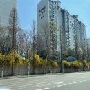 수내고길 이미지