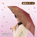 우산정보 이미지