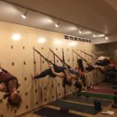 테라피요가 B 이미지