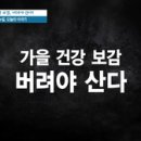 가을 건강 보감 버려야 산다! 식탐과의 전쟁 [천기누설] 이미지