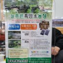 늘푸른흑염소가든보성 이미지