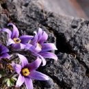 율리 지하철역 이미지