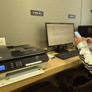 울릉도PC | 애견동반 강아지랑 울릉도 가는법, 울릉크루즈 배편 왕복 후기