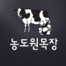 농도원목장 이미지