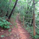 매화마을길 이미지