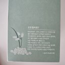 셀프 헤어 클리닉 제품 추천 마키사키 오트밀 헤어 클리닉 3단계 세트 내돈내산 후기