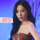 더핏다이어트