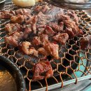 돼지전설 이미지