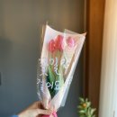 남원주초교길 이미지