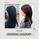 자연앤동물병원 미용실 | 율전동미용실에서 봄 준비 레드 염색 성공기, 수원미용실 메이앤메이 성균관대역점