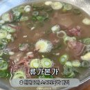 본가소머리국밥 | [천안] 천안 맛집 | 소머리 국밥이 맛있는 류가본가 주말 방문 후기