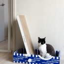 봉 그루밍 | 고양이 수직 스크래쳐 리필 가능한 리틀팩토리 고양이 각도조절스크래쳐 보드세트