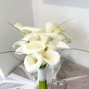 발레리나부케 - 강남구 도산대로70길 26 | 본식 부케 추천 강남 발레리나부케 계약후기(내돈내산)