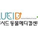 동대문 루시드 동물메디컬센터 이미지