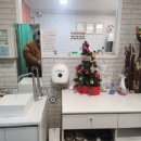 캣카페 낭만고양이 이미지