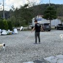 다올펜션 이미지