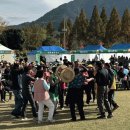 무정면 은행나무 축제 이미지