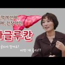 백신 준비물로 지목된 베타글루칸. 간세포 재생,피로회복 효과를 가장 경제적으로 누리는 방법 이미지