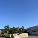 성산농장 | 제주 여행 서귀포 성산 김정문알로에 알로에숲 입장료 무료 알로에 가득한 힐링 스팟