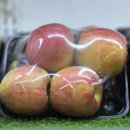 [군산사과맛집] 🍎과일정원🍏