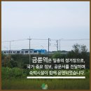 금륜 정보통신