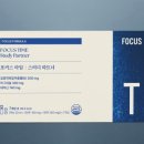 바움스터디 이미지