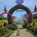 하림식당 이미지