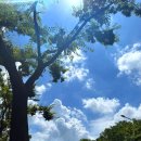 구름카츠부천점 | 부천시청역 돈카츠 '대산카츠' 솔직 후기