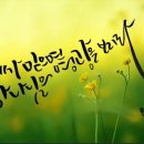 피오피캘리글씨천국 이미지