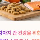 바이케이알 이미지