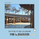 라파농장 | 경주 신상카페 아기랑 노경보차라파 365일 비 내리는 한옥카페