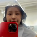 바보탱이 이미지