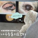 나우동물의료센터 | 강아지 안과 전문 진료는 처음이라... 천안 나우동물의료센터 후기👀