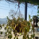 현계경로당 이미지