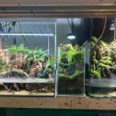 아쿠아플랜트디자인 이미지