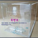 거미아크릴 이미지