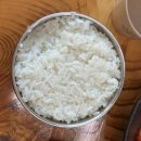 [맛집]충남 아산 맛집 ‘소보양본가 아산배방점’ 후기 메뉴 가격 맛 주차