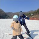 신선 | 곤지암리조트렌탈샵 신선하게 다녀온 후기