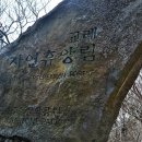 교래자연휴양림 이미지